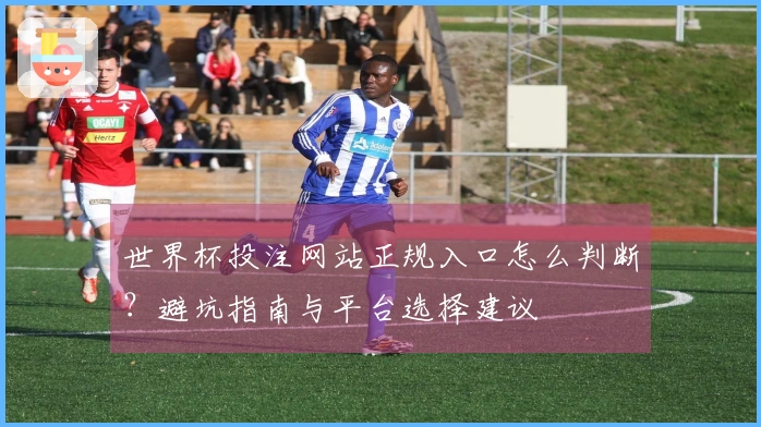世界杯投注网站正规入口怎么判断？避坑指南与平台选择建议