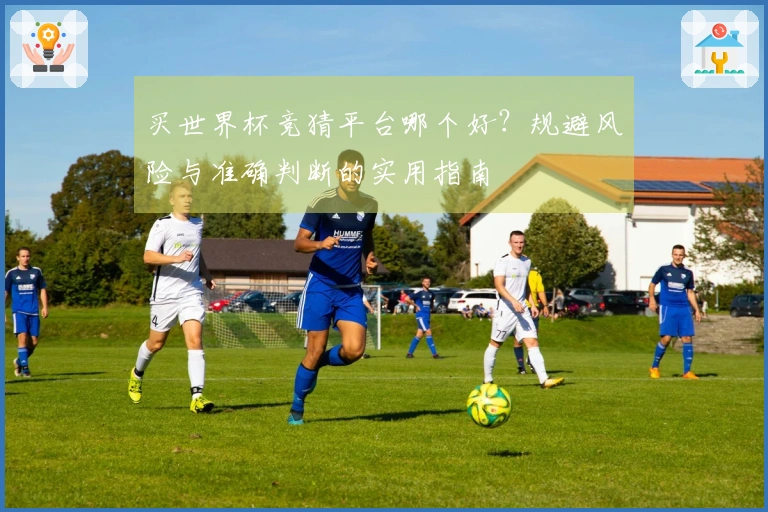 买世界杯竞猜平台哪个好？规避风险与准确判断的实用指南