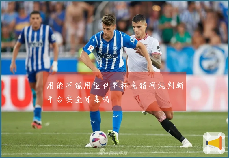 用能不能用型世界杯竞猜网站判断平台安全可靠吗