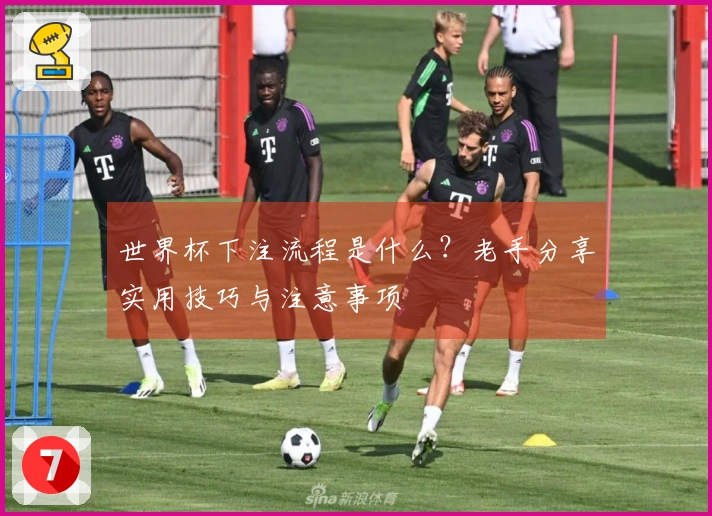 世界杯下注流程是什么？老手分享实用技巧与注意事项