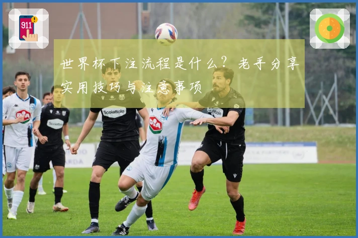 世界杯下注流程是什么？老手分享实用技巧与注意事项