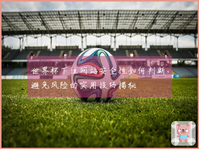 世界杯下注网站安全性如何判断，避免风险的实用技巧揭秘