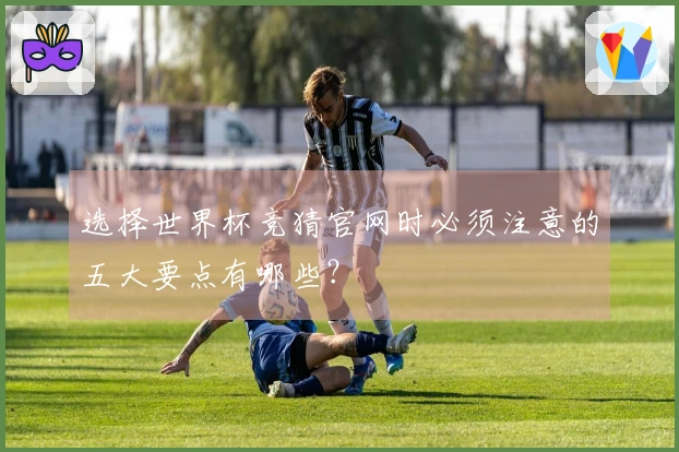 选择世界杯竞猜官网时必须注意的五大要点有哪些？