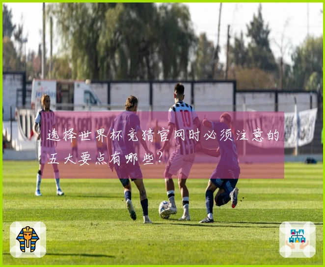 选择世界杯竞猜官网时必须注意的五大要点有哪些？
